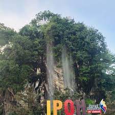 Gunung lang is situated nearby to taman sin lok. Foto Di Jeti Taman Rekreasi Gunung Lang Ipoh Perak