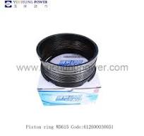 Piston ring WD618 Code 612600030051