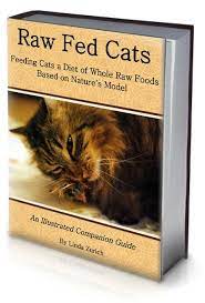 Healthy Raw Food Diet Recipes For Our Pets Raw Food Recipes Barf Diet Raw Food Diet