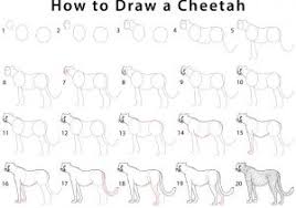 Cartoon drawings animal drawings easy drawings types of wild cats cheetah drawing colour book how to draw steps draw animals cheetahs. Images Of Cheetah Drawing Easy Step By Step