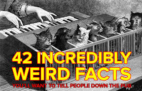 Funny jokes funny but true facts about friendship. 42 Incredibly Weird Facts You Ll Want To Tell All Your Friends