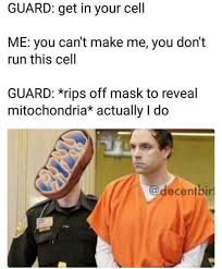The mitochondria is the powerhouse of the cell. Mitochondria Is The Powerhouse Of The Cell Daily Lol Pics