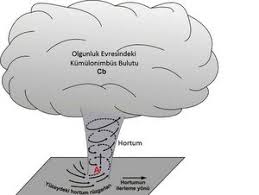 Turkish to english hortum : Hortumlar Ve Olusum Duzenekleri Bilim Ve Gelecek