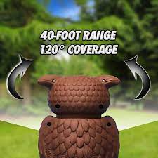 There has to be a better way. Owl Alert Bulbhead