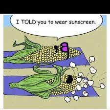Outside quotations to inspire your inner self: Quotes About Very Hot Weather 21 Quotes