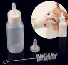 Makanan kucing persia di atas menjadi rekomendasi terbaik agar peliharaan anda mendapatkan nutrisi yang. Makanan Anak Kucing Umur 1 Bulan Yang Menyehatkan Hobinatang