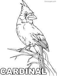 Colouring pages adult coloring pages coloring books bird embroidery embroidery patterns wood burning patterns bird drawings copics painting patterns. Cardinal Coloring Page Coloring Data Station