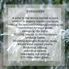 Evergreen By Rockyriver Heart Quotes Funny Quotes Poems