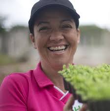 DDECPR (@desarrollopr) • Фото и видео в Instagram