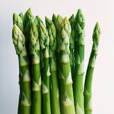 Image result for Asparagus devenishii