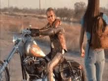We have 67+ background pictures for you! Funny Harley Davidson Pictures Gifs Tenor