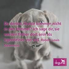 Du Denkst Hunde Kommen Nicht In Den Himmel Ich Sage Dir Sie Werden Frueher Dort Sein Als Irgendeiner Von Uns Robert Instagram Instagram Posts Movie Posters