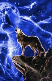 Native American Wolf Spirit Psychic Paranormal Forums Kurtlar Uluyan Kurt Kurt Adamlar Ve Wolf