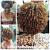 Spiral Set On Relaxed Hair