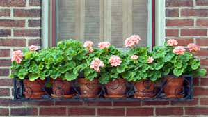 Having plants and flowers on the balcony is a delight but the pots take a lot of space and you also need. 9 Tips For A Beautiful Balcony Garden Housing News