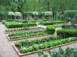 Home Grown Veggies How Science Art Technology Together Create The Kitchen Of The Future Garden Layout Vegetable Small Vegetable Gardens Garden Layout