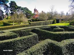 The Maze Manor Garden Estate Garden Japanese Garden