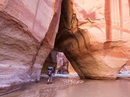 The canyon is impressively deep and has a beautiful endpoint. A Hike For The Bucket List Paria Canyon