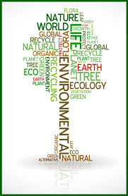 We did not find results for: Top 10 Ways To Protect The Environment Save Our Environment At Home