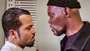 Californication Season 5