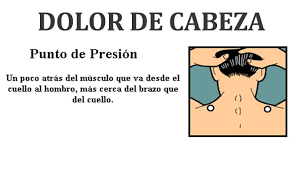 Pin En Conocimiento Y Salud