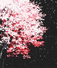 Unique designs on hard and soft cases and covers for samsung galaxy s21, s20, s10, s9, and more. Sakura Trees Gifs Get The Best Gif On Giphy