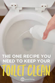 How To Make A Homemade Toilet Bowl Cleaner Toilet Cleaning Homemade Toilet Bowl Cleaner Fun To Be One