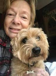 Tribes' Bison Program Accepts Towering Spirit Award