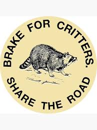 Check spelling or type a new query. For Car Gifts Merchandise Redbubble