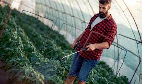 Consultanta pentru accesare fonduri europene pe care o vei primi va acoperi toate etapele ce trebuie parcurse pentru a putea primi bani europeni. Fondurile Europene De Cate 50 000 Euro Pentru Tineri Fermieri 2020 Se AmanÄ