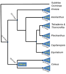 Image result for Equilabium