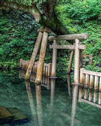 in the sacred forest of kashima jingu shrine the perennial spring creates this amazingly clear pond called mitarashi no ike where the purification fotografia