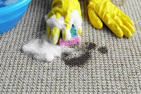 How To Get Rid Of Tough Vomit Stains From Your Carpet