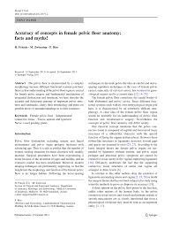 Verschluß der genitalöffnung klitoris funktion: Pdf Accuracy Of Concepts In Female Pelvic Floor Anatomy Facts And Myths