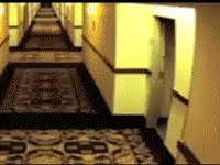 Mrw I Ve Just Stopped My Wankathon And I Lock Myself Out Of My Hotel Room Gif On Imgur