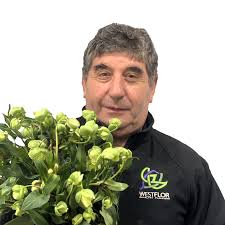 The Team at Westflor