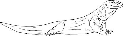 Stress relieving designs animals, mandalas, flowers, paisley patterns and so much more: Komodo Dragon Colouring Sheet