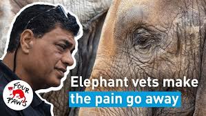 Crime Stories of Karachi |The CPLC Origins| Mansha, Daniel Pearl| Ft Jameel  Yusuf Digitales Epi 111