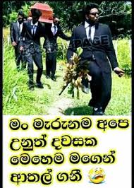 We did not find results for: Nimesh Kaushalya Nimeshkaushalya2001 Profile Pinterest