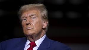 How Lies About Pet Eating Turned Into Bomb Threats