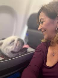 Has anyone flown Alaska airlines with a baby? Would they allow the BUBBA  BOARD?