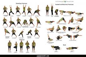 Yoga Poses To Warm Up Yogaposes Com Cool Yoga Poses Yoga Poses Yoga Practice