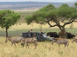 Includes best time to visit and climate info. 8 Great African Safari Lodges You Haven T Heard Of Yet Gold List 2016 Conde Nast Traveler