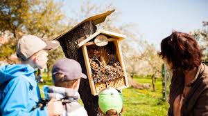 Životní prostředí je jeden z nejdůležitějších faktorů pro život celé planety, tudíž i život nás, lidí. Zive S Noe Mezinarodni Den Zivotniho Prostredi Tv Noe