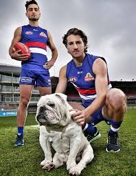 Descriptionwestern bulldogs real life mascot.jpg. Photo Gallery Sid Through The Years