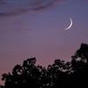 Moon sighting actually means to sight the moon but in the context of islam. Https Encrypted Tbn0 Gstatic Com Images Q Tbn And9gcqi2d Xqzbt 18q3wfmbz 0q3pssijdshv9akqzkxebhrw64 P1 Usqp Cau