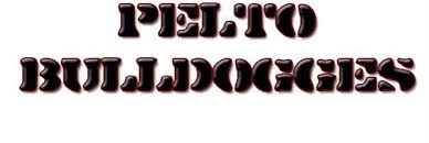 Up to date on all shots. Pelto Bulldogges Olde English Bulldogge Puppies For Sale In Minnesota
