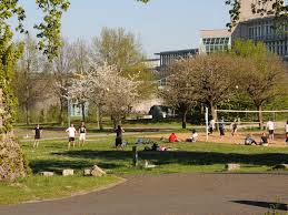 Early a famous centre for the study of roman catholic theology, it was secularized in 1814 and became best known for its medical school. University Of Wurzburg In Germany Ranking And Yearly Tuition