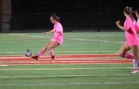 Image result for Chaseella