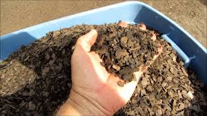 Check spelling or type a new query. 5 1 1 Potting Mix Youtube